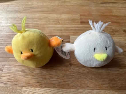 Photo of free Pair of small chick soft toys (Wainscott) #1