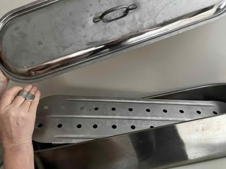 Photo of free fish kettle (Holland Park W11) #1