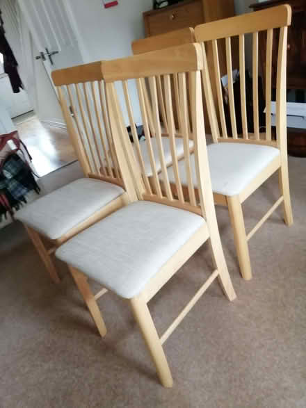 Photo of free 4 Dining chairs (Nash Mills HP3) #1