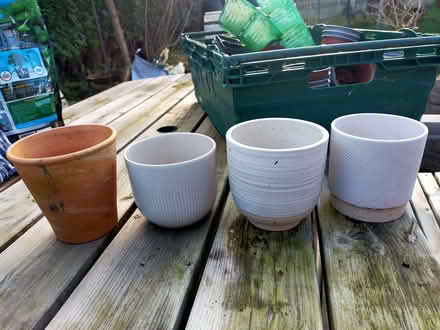 Photo of free Ceramic pots for Houseplants (Gobowen SY11) #1