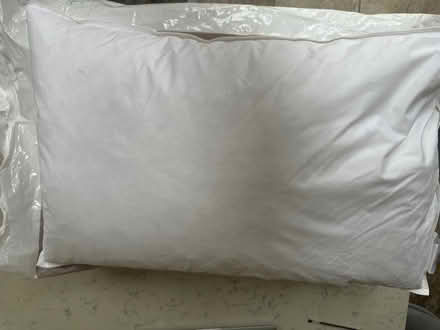 Photo of free Pair of Soft duck feather pillows (BR3) #2