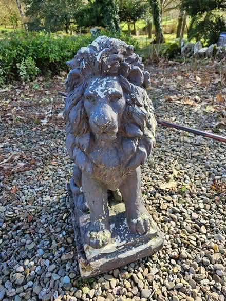 Photo of free Lion statue (Mortimers Cross HR6) #1