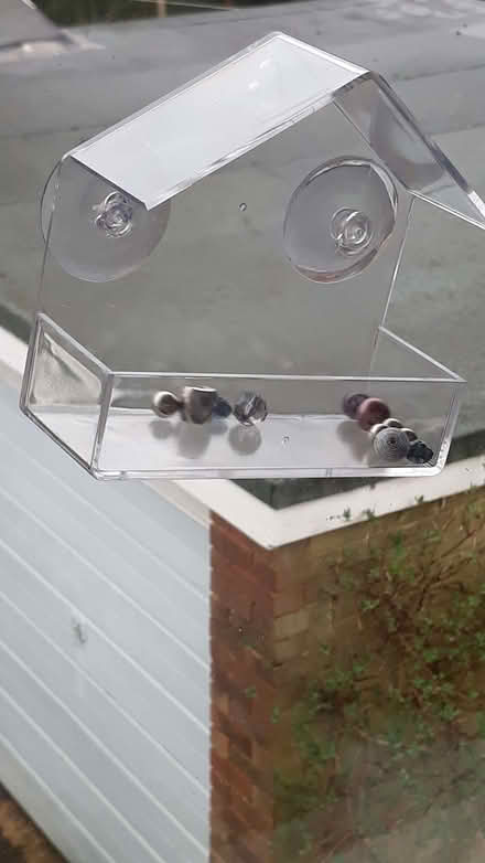 Photo of free Window bird feeder. (Earlswood RH1) #1
