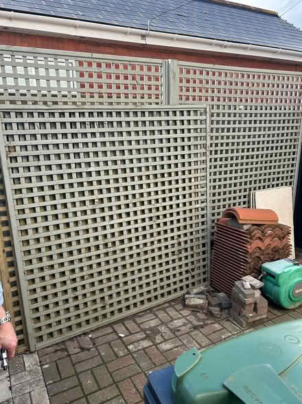 Photo of free 3 x 6ft x 6ft square trellis panels (BH231HG) #1