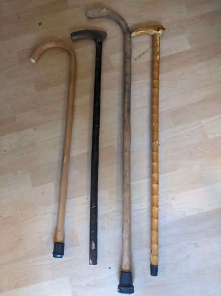 Photo of free 4 walking sticks (Nympsfield GL10) #1