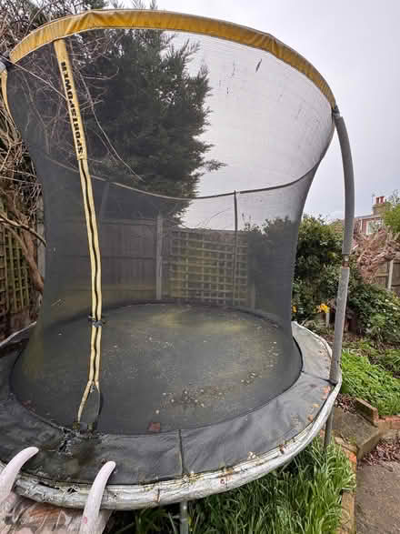 Photo of free Trampoline (Abbey Wood DA17) #4