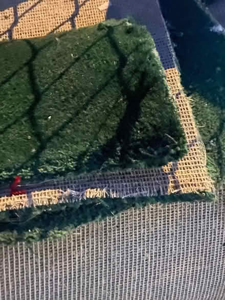 Photo of free Allotment owners, carpet if (Selsdon) #2