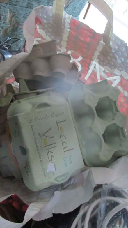 Photo of free Egg boxes, (Innsworth GL3) #1