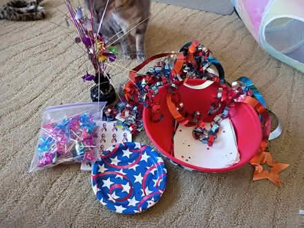 Photo of free Red Whit and Blue Party Stuff (Birdland) #1