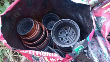 Photo of free Plastic plant pots (Wells Road) #3