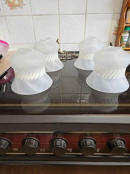 Photo of free Light Fittings (Ibstock LE67) #4
