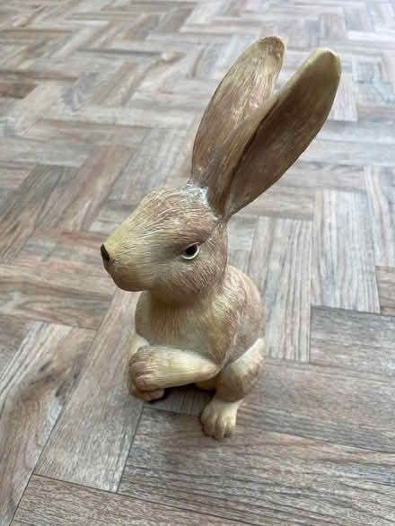 Photo of free Rabbit Decoration (Wainscott) #1