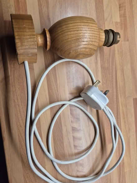 Photo of free Table lamp (Blacklands TN34) #2