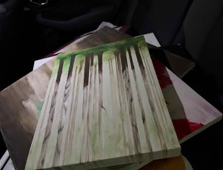 Photo of free Used canvases (Near lahring and Torrey) #3