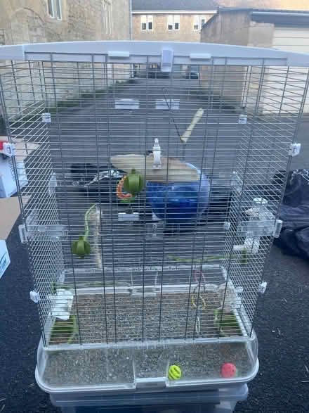 Photo of free Bird cage (Fairfield Park) #1