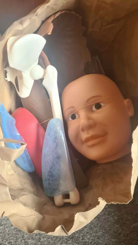 Photo of free Billie bones model (Tottenham N17) #3