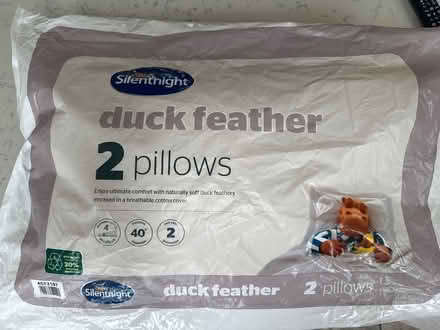 Photo of free Pair of Soft duck feather pillows (BR3) #1