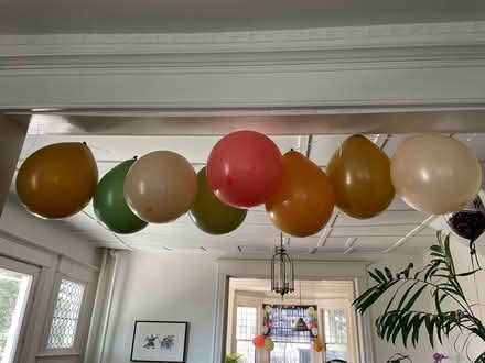 Photo of free Helium Balloons (6) (Cleveland Park) #4