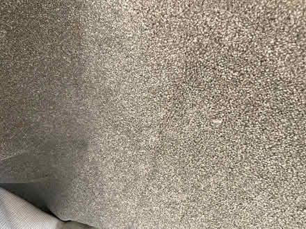 Photo of free Used bedroom carpet and underlay (W12) #1