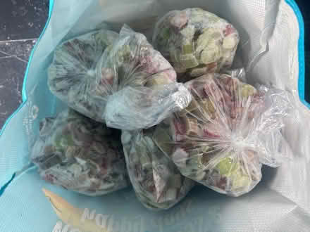 Photo of free Rhubarb (Tayport DD6) #1