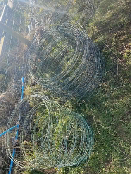 Photo of free Rolls of wire fencing (Stainton CA11) #3