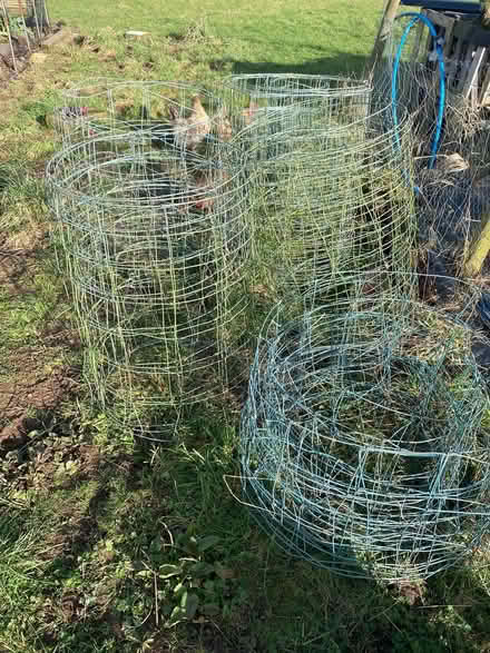 Photo of free Rolls of wire fencing (Stainton CA11) #4