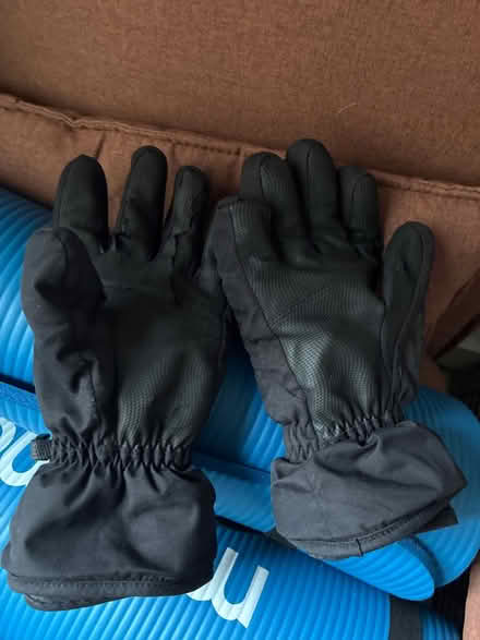 Photo of free Ski gloves size small (Stratford E15) #2