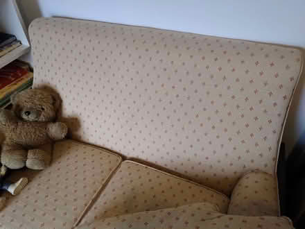 Photo of free 2 seater sofa (Malvern Link WR14) #3