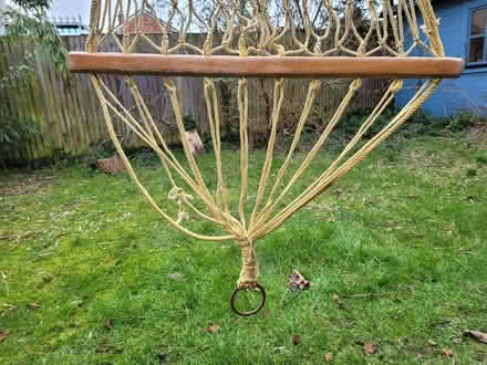 Photo of free String hammock (Earlham NR4) #3