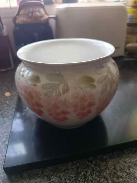 Photo of free China plant pot (St Nicholas SG1) #1