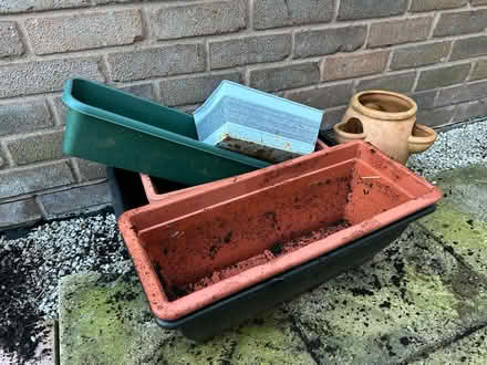 Photo of free Plant pots (West Park WA10) #1