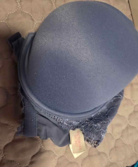 Photo of free Bras 36D TO 40D (Keyport) #3