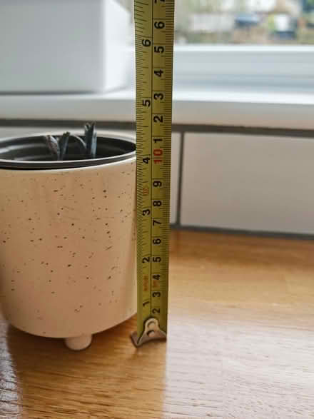 Photo of free House plants (CT17) #3