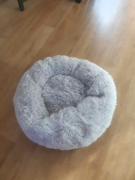 Photo of free Dog bed (Wv12) #1