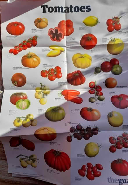 Photo of free 2 v large wall charts, as new (Kingsway) #1