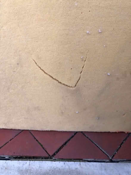 Photo of free 4” thick foam (Littleover DE23) #2