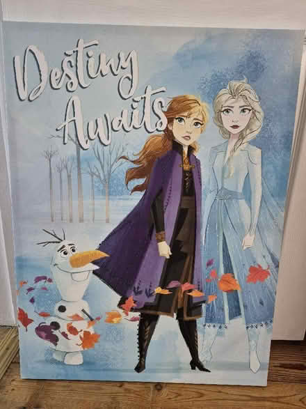 Photo of free Large Frozen canvas (CO13) #1