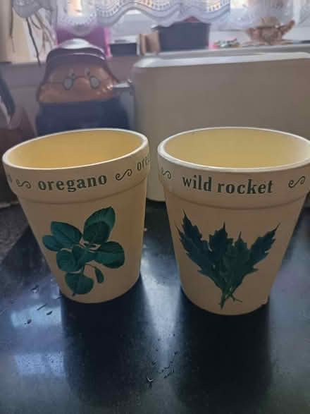 Photo of free Herb pots (St Nicholas SG1) #1