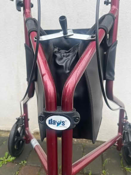 Photo of free Days Lightweight (Little Bray) #1