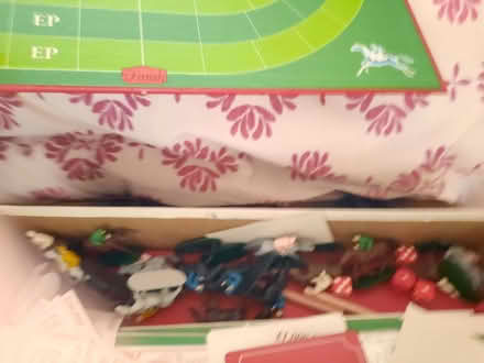 Photo of free Boxed game- the really nasty horse racing game (Hollingdean BN1) #3