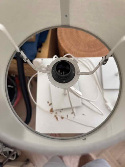 Photo of free Pair of lamps (Thorpe St Andrew NR7) #2