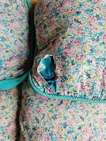 Photo of free Cushions (SW16 (streatham common)) #2