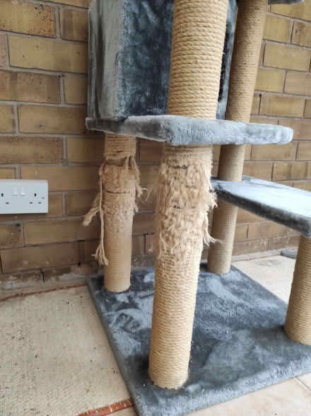 Photo of free Cat tower (Buglawton CW12) #1