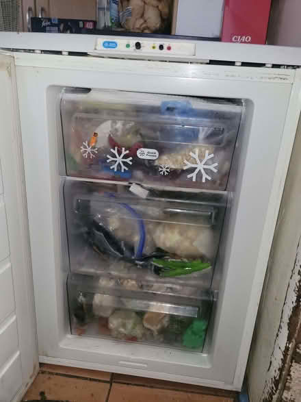 Photo of free Under counter freezer (Balwest TR13) #1