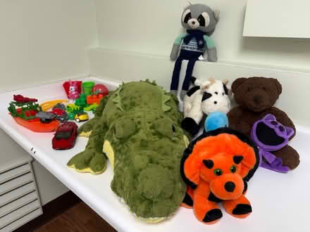 Photo of free Plush animal toys, cars, etc (Valencia Avenue, Sunnyvale) #1