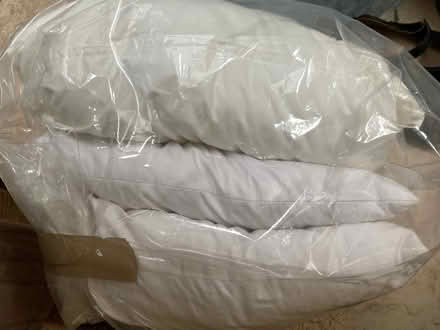 Photo of free 3 UNCOVERED white cushions (Funtington PO18) #1
