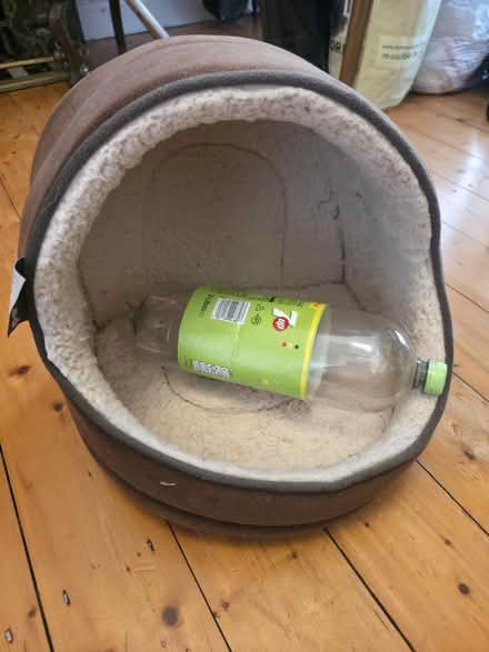 Photo of free Covered cat bed or suit small dog (Glasnevin) #2