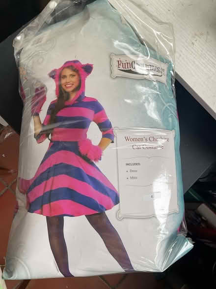 Photo of free Adult Fancy Dress Costumes (RG30 Tilehurst) #2