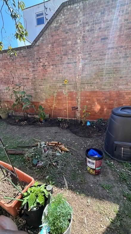 Photo of Garden Plants (Wimbledon SW19) #1