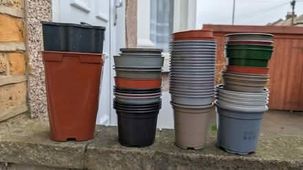 Photo of free Small plastic pots (E10 7BB) #1